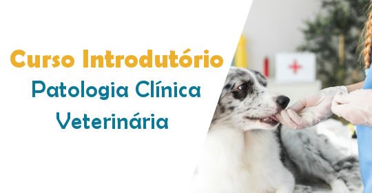 Curso introdutrio de Patologia Clnica Veterinria